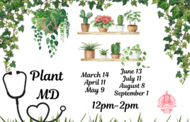 Image with plants around all the edges. Plant MD with a stethoscope is in the lower left hand corner. Then there are dates under a bunch of plants on shelves. March 14, April 11, May 9, June 12, July 11, August 8, September 1. 12PM - 2PM. The Kirkwood Public LIbrary 100th anniversary logo in red is in the lower right hand corner.